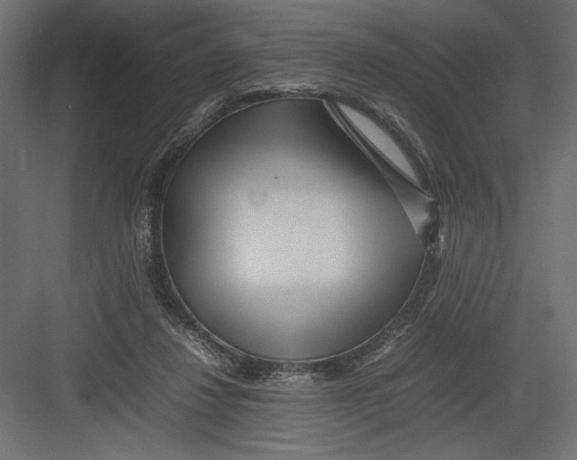 X0000082140260200702092133