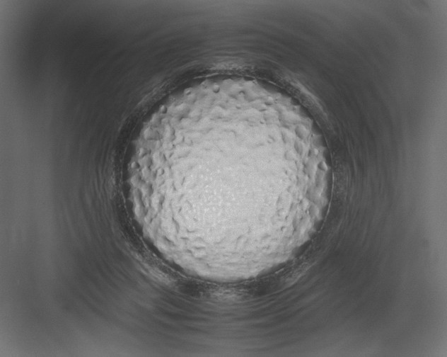 X0000082140261200702092133