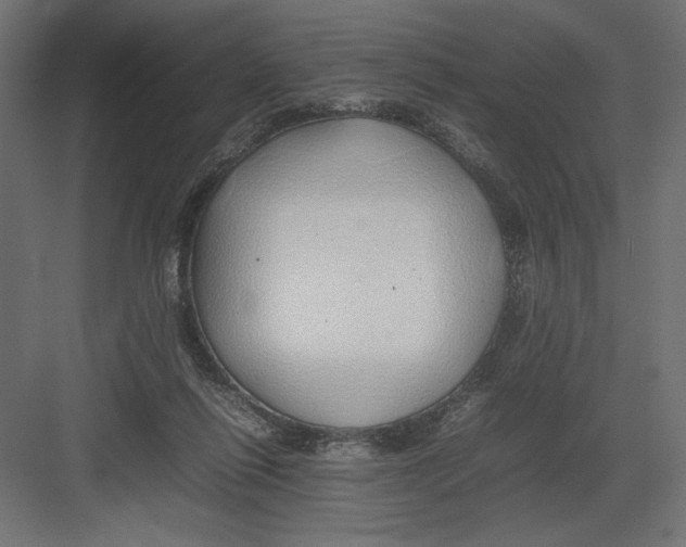 X0000082140262200702092133