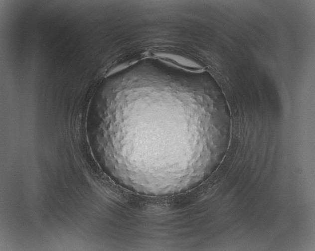 X0000082140263200702092133