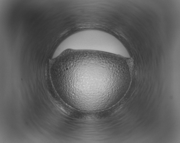 X0000082140264200702092133