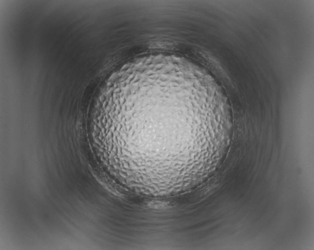 X0000082140265200702092133