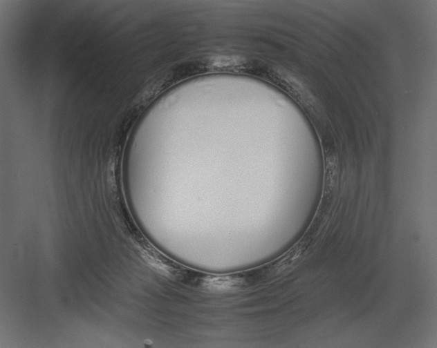 X0000082140269200702092133