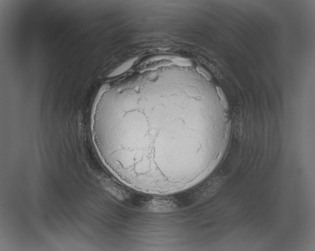 X0000082140270200702092133