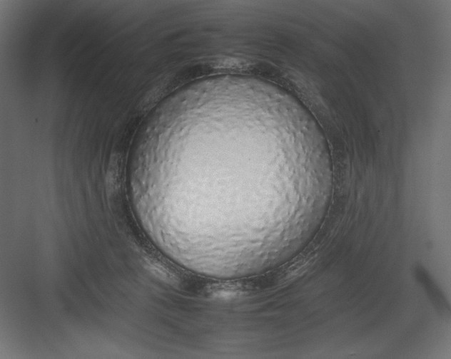 X0000082140273200702092133