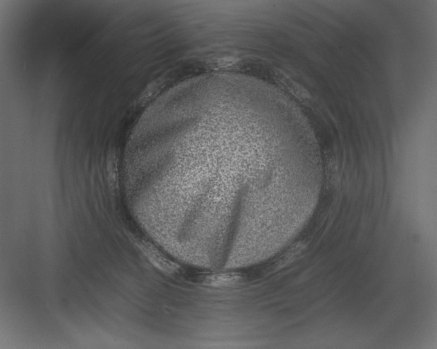 X0000082140274200702092133