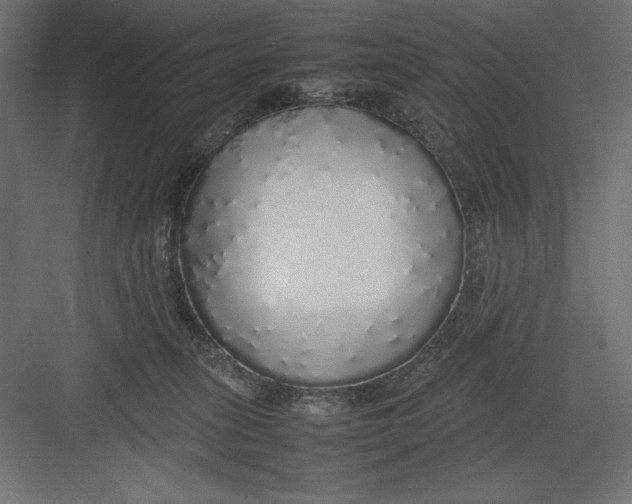 X0000082140275200702092133