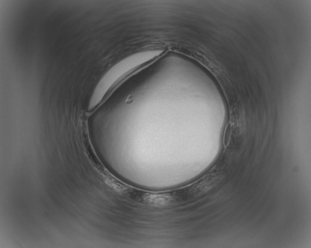 X0000082140277200702092133