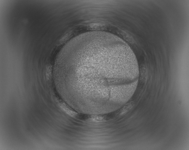 X0000082140278200702092133