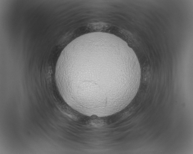 X0000082140279200702092133