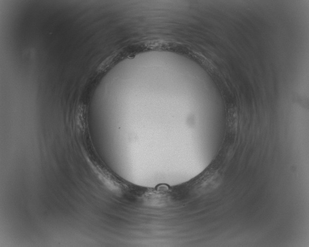 X0000082140280200702092133