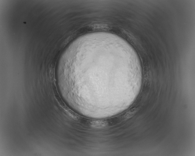 X0000082140281200702092133