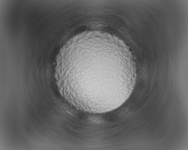 X0000082140283200702092133