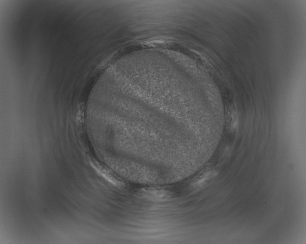 X0000082140284200702092133