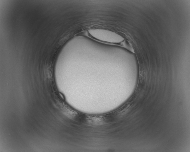 X0000082140285200702092133