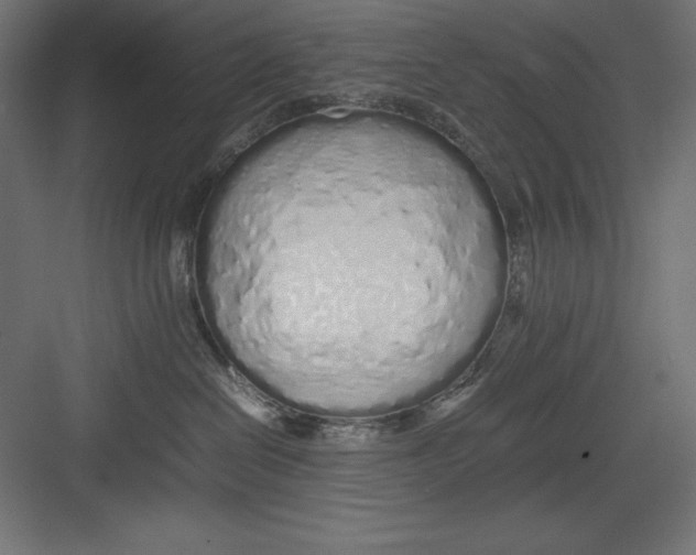 X0000082140286200702092133