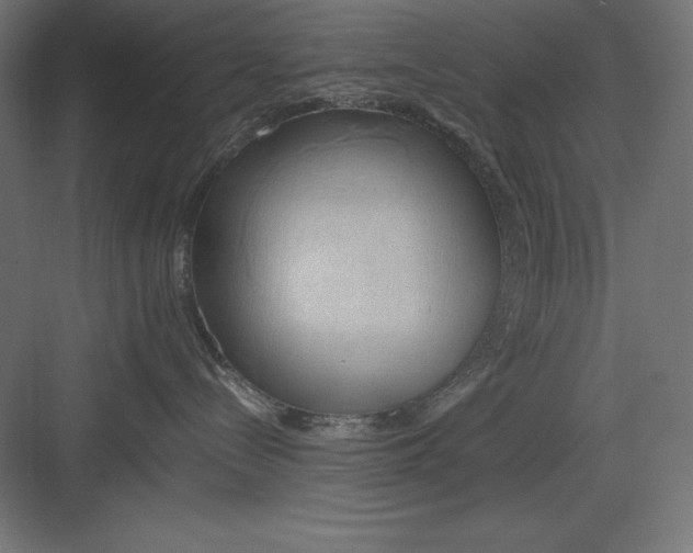 X0000082140288200702092133