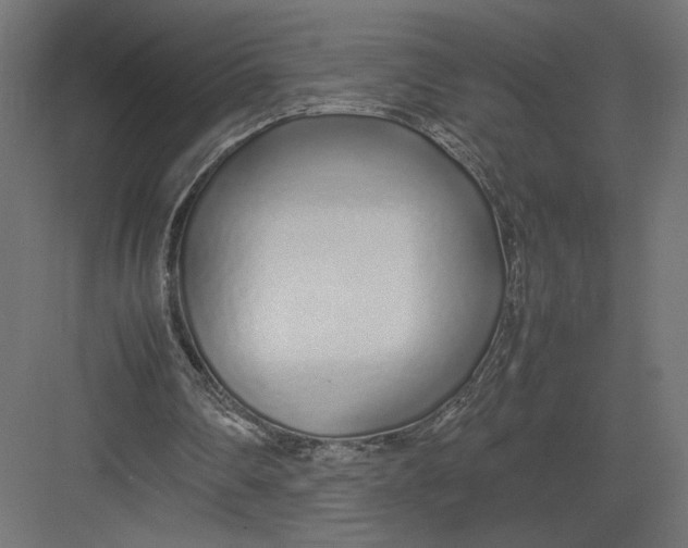 X0000082140290200702092132