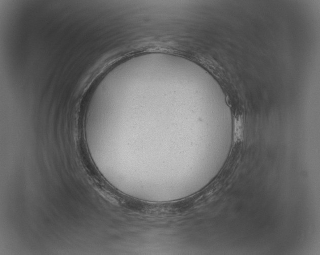 X0000082140291200702092132