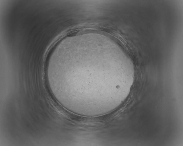 X0000082140293200702092132