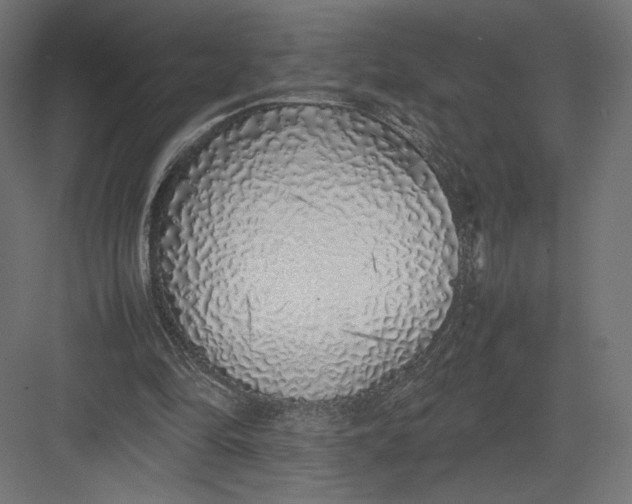 X0000082140294200702092132