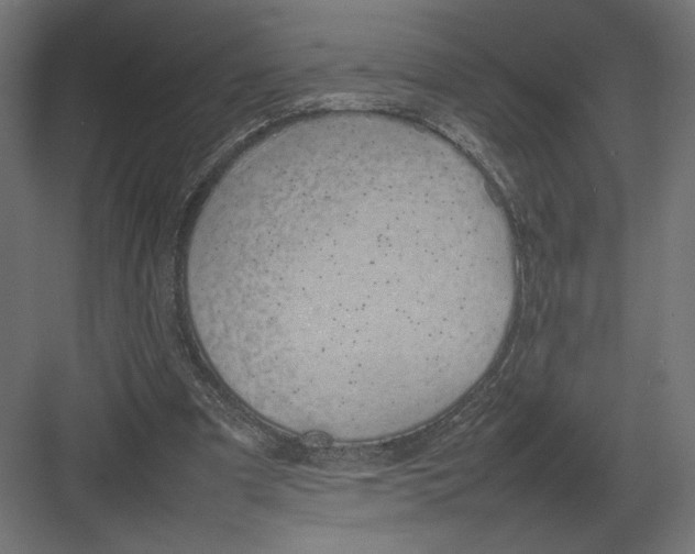 X0000082140297200702092132