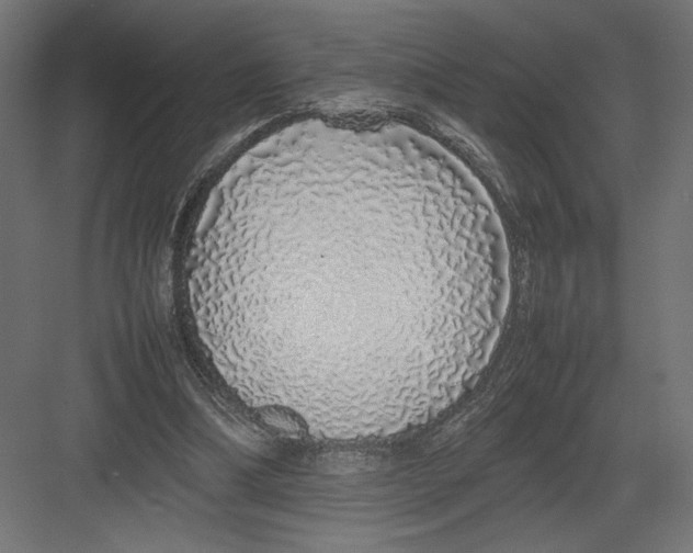 X0000082140298200702092132