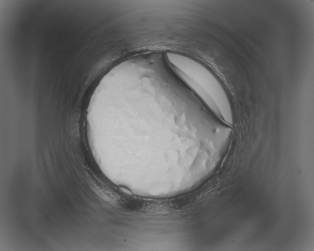 X0000082140299200702092132