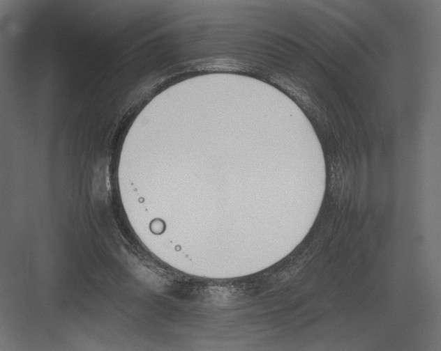 X0000082140302200702092132