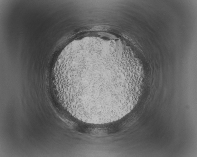 X0000082140303200702092132