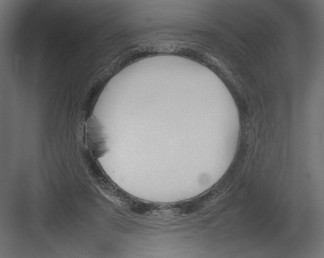 X0000082140307200702092132