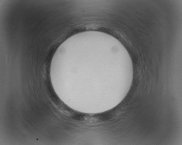 X0000082140311200702092132