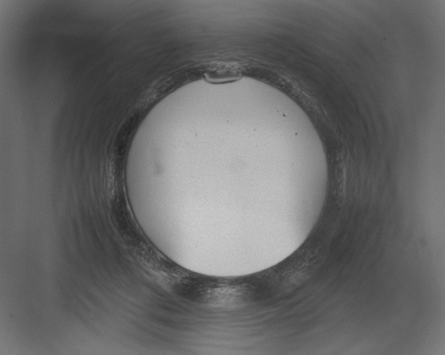 X0000082140312200702092132