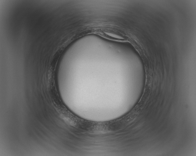 X0000082140314200702092132