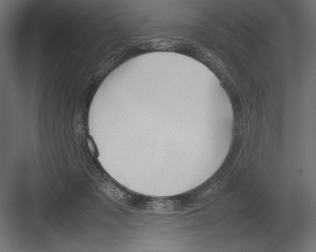 X0000082140317200702092132