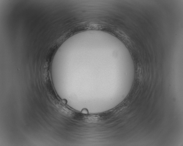 X0000082140318200702092132