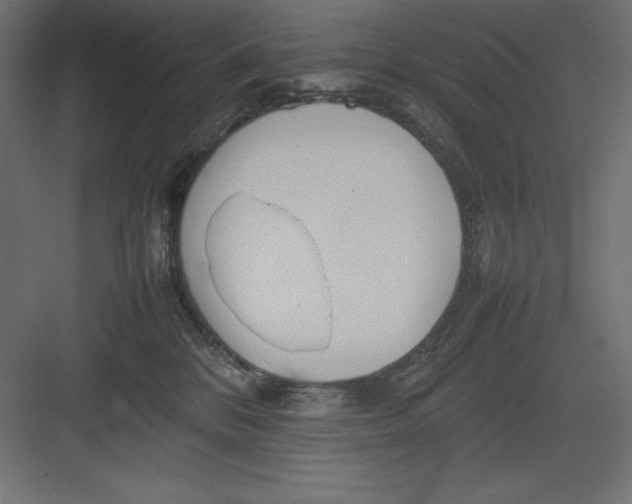 X0000082140328200702092132