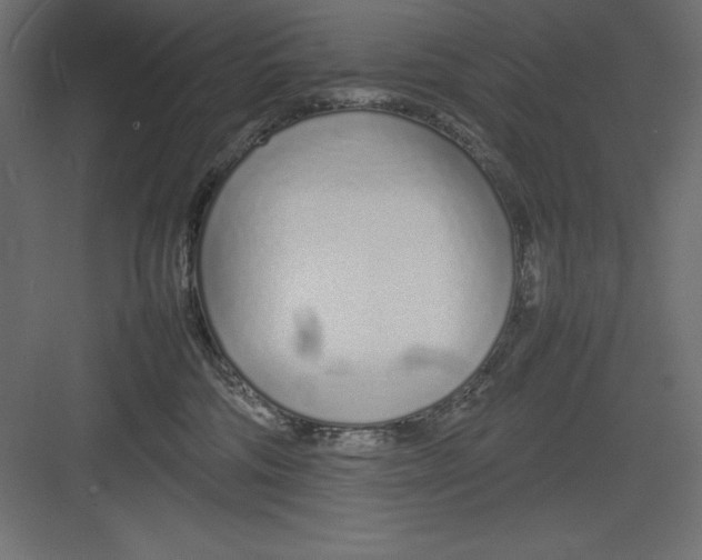 X0000082140330200702092132