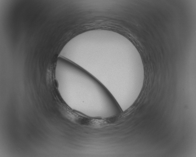 X0000082140333200702092132