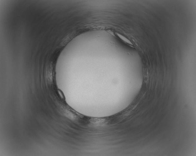 X0000082140334200702092132