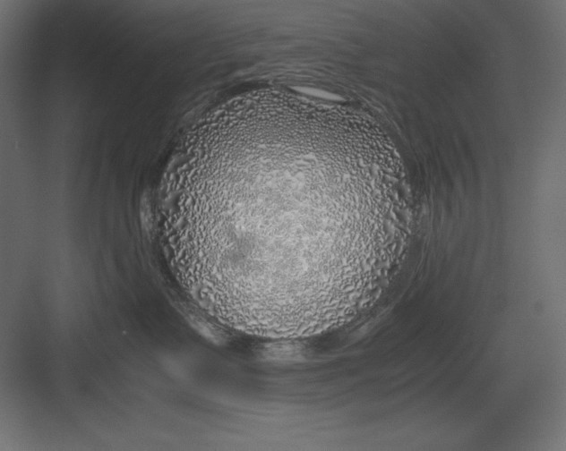 X0000082140335200702092132