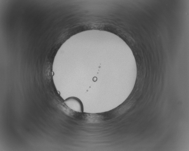 X0000082140336200702092131