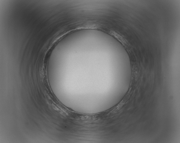 X0000082140338200702092131