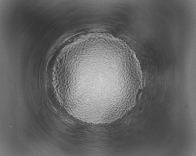 X0000082140339200702092131