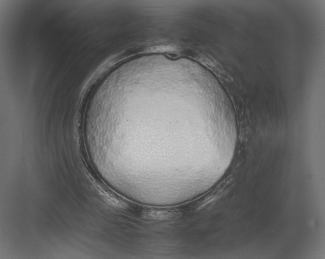 X0000082140341200702092131