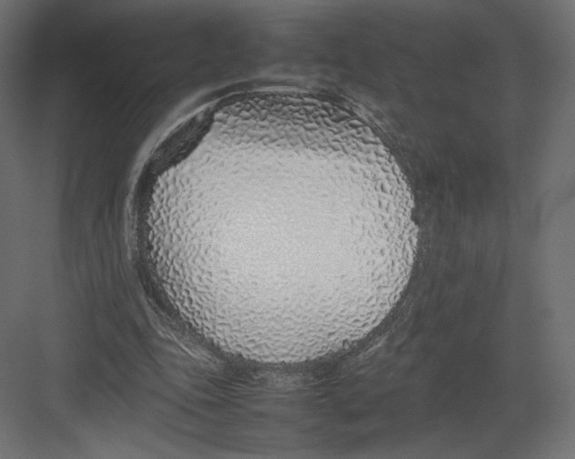 X0000082140343200702092131