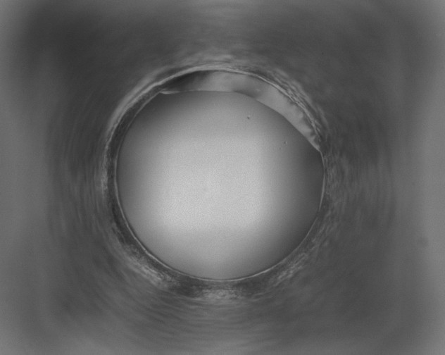 X0000082140344200702092131