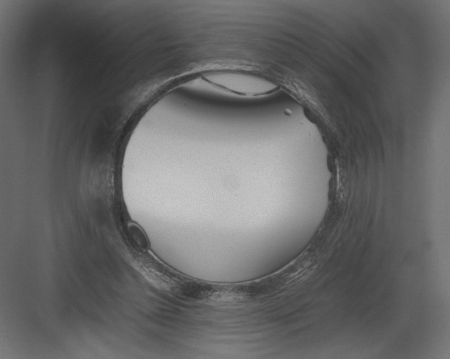 X0000082140348200702092131