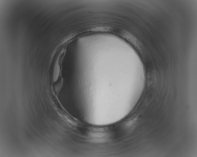 X0000082140349200702092131