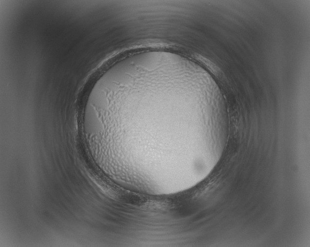 X0000082140350200702092131